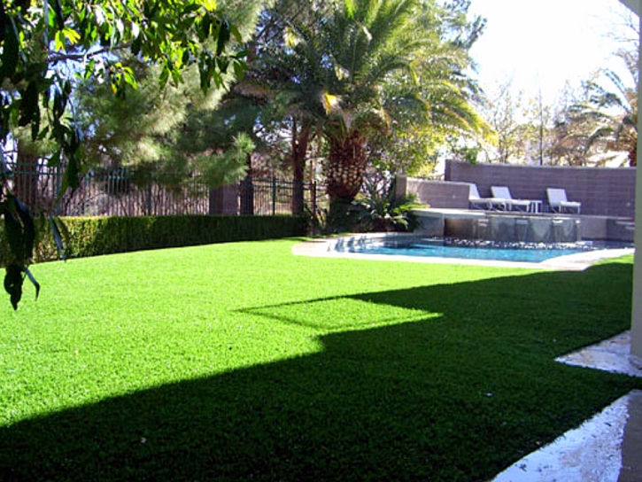 Synthetic Turf Supplier Anaheim, California Rooftop, Backyard Landscape Ideas