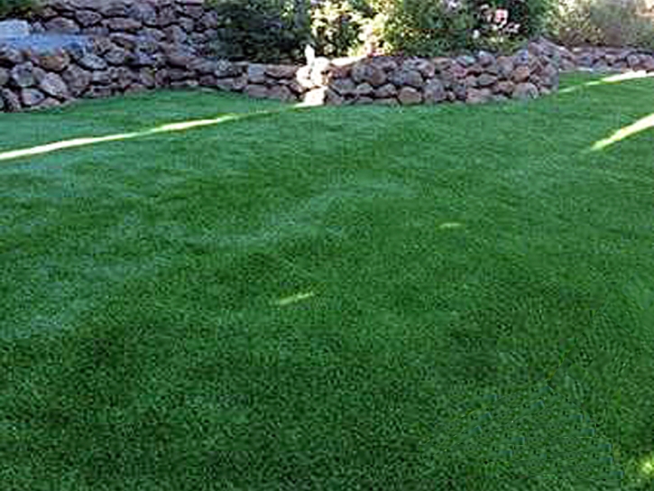 Synthetic Turf Supplier Brea, California Design Ideas, Backyard Makeover