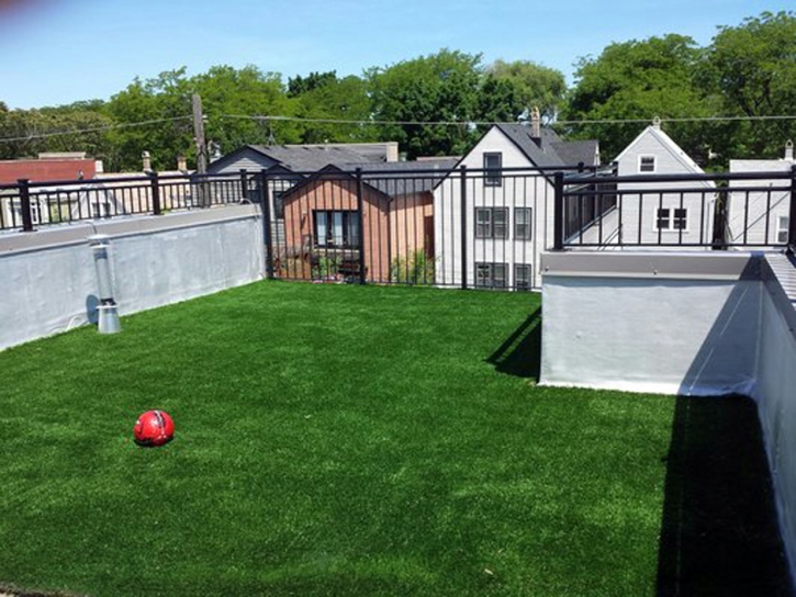 Synthetic Turf Supplier Coto De Caza, California Pet Paradise, Deck