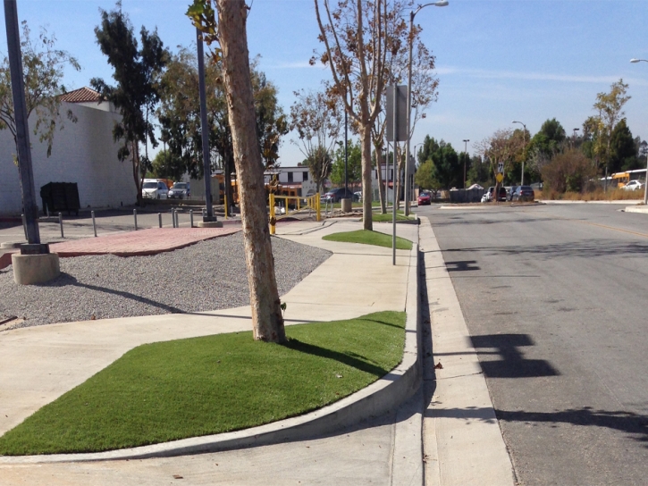 Synthetic Turf Supplier Fountain Valley, California Home And Garden, Commercial Landscape