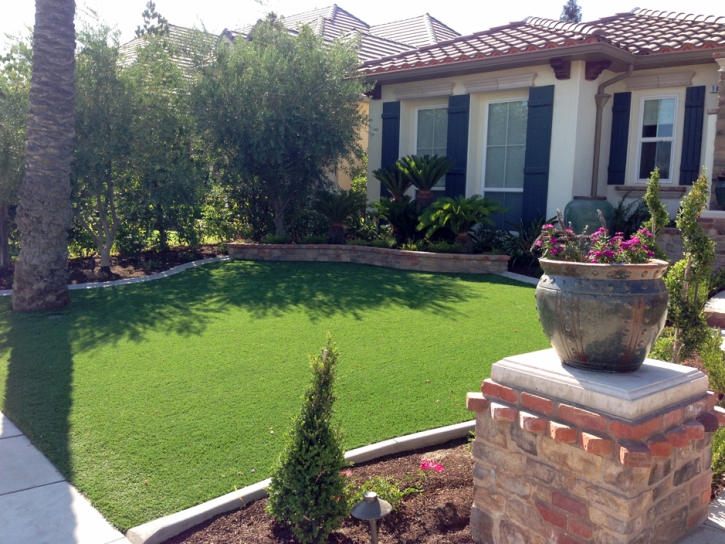 Synthetic Turf Supplier Orange, California Landscape Ideas, Landscaping Ideas For Front Yard