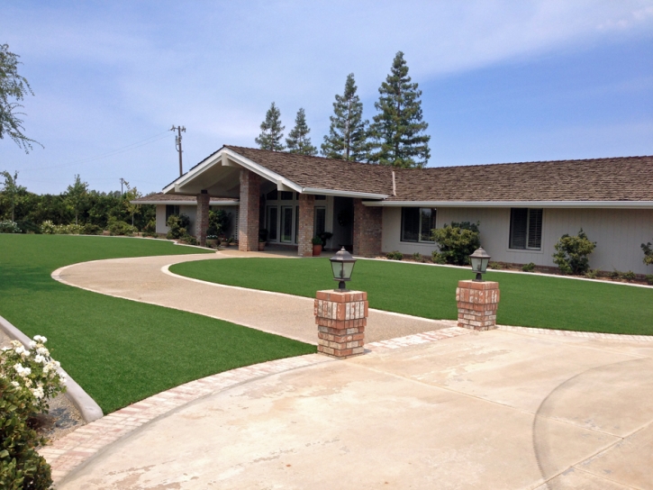 Synthetic Turf Supplier San Joaquin Hills, California Design Ideas, Front Yard Landscaping Ideas