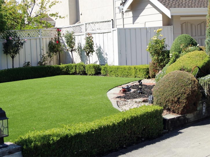 Synthetic Turf Trabuco Canyon, California Roof Top, Landscaping Ideas For Front Yard