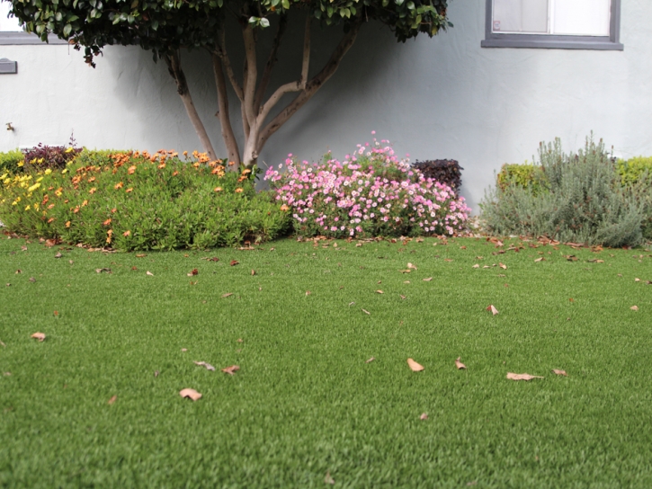 Turf Grass Foothill Ranch, California Design Ideas, Front Yard Ideas