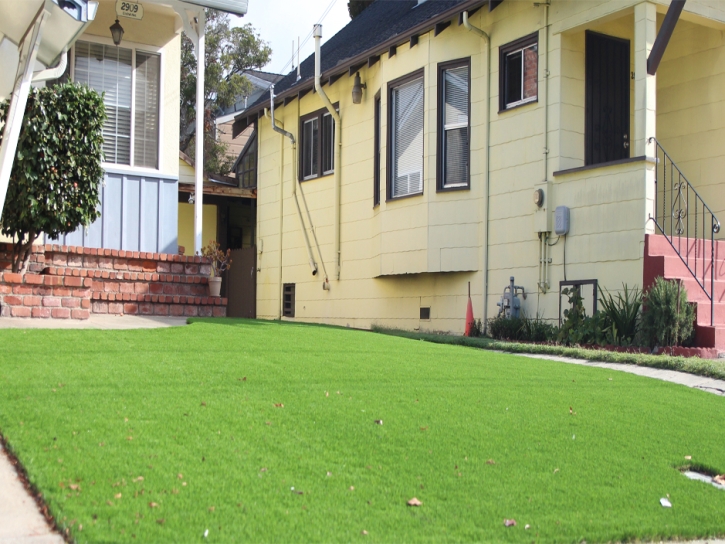 Turf Grass Laguna Beach, California Home And Garden, Front Yard Landscape Ideas