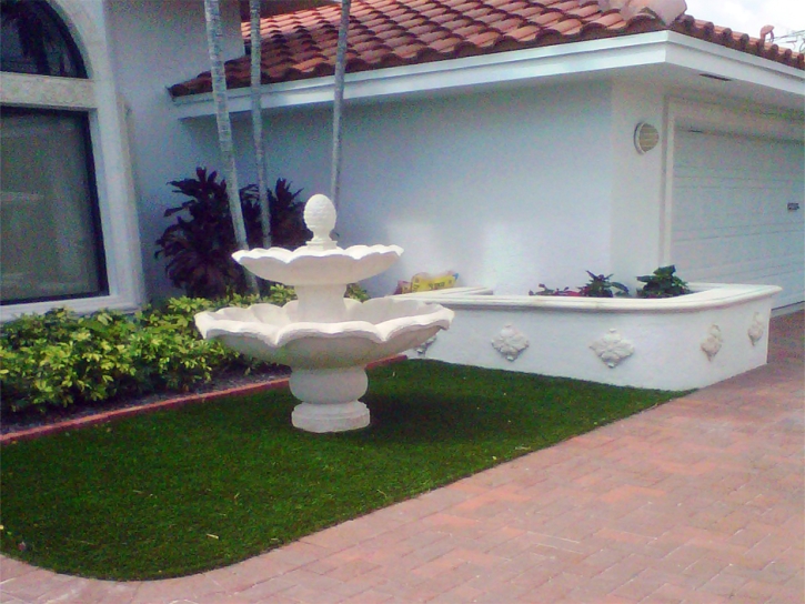 Turf Grass Laguna Niguel, California Landscaping Business, Front Yard Landscape Ideas