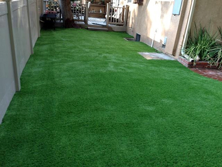 Turf Grass Placentia, California Rooftop, Backyard Garden Ideas