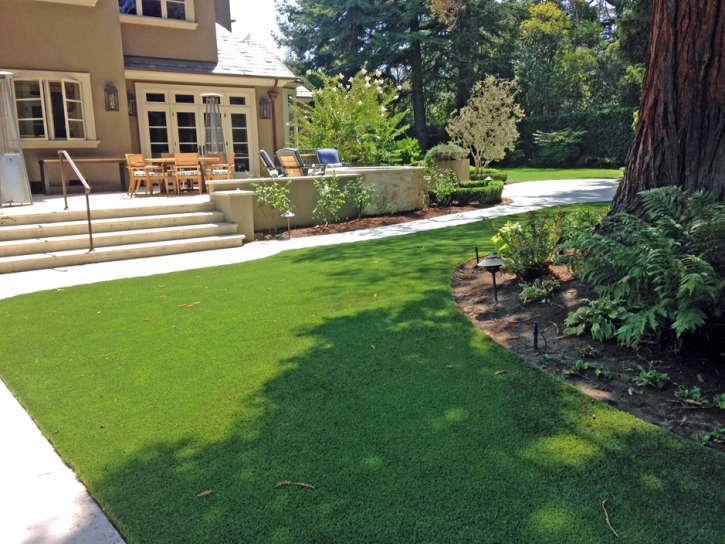 Turf Grass San Joaquin Hills, California Design Ideas, Backyard Makeover